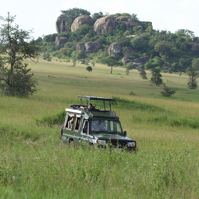 Game drive - information about Serengeti National Park