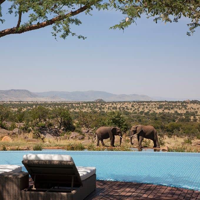 Stay at Four Seasons Safari Lodge in the Serengeti