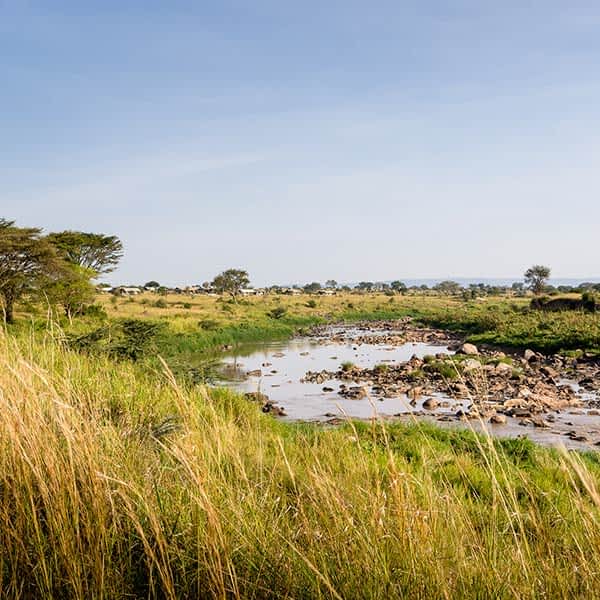 Serengeti Mara safari area