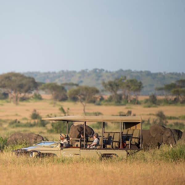 Game drive in Serengeti Grumeti Game Reserve