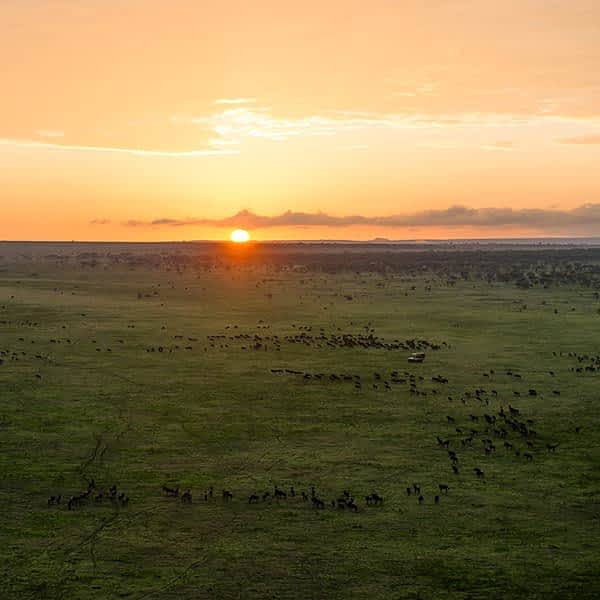 The Great Migration on the southeastern plains and Ndutu