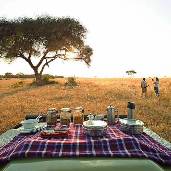 Enjoy a luxury Tanzania safari in the Western Corridor
