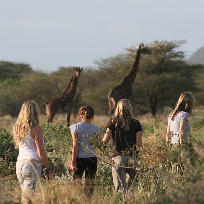 At Mwiba Lodge you can partake in a walking safari in the Greater Serengeti Area in Tanzania