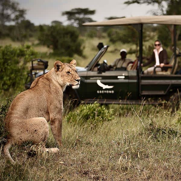 Safari game drive at Klein's Camp in Tanzania