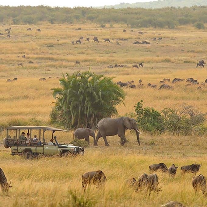 Serengeti game drive in Tanzania