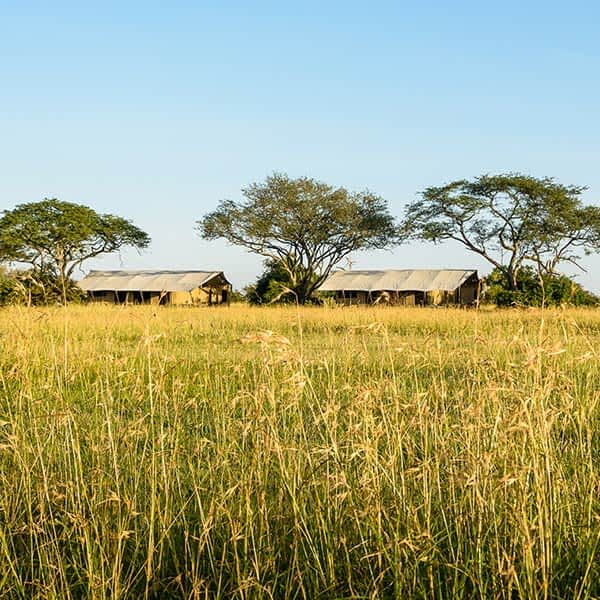 Serengeti Grumeti Game Reserve acccommodation