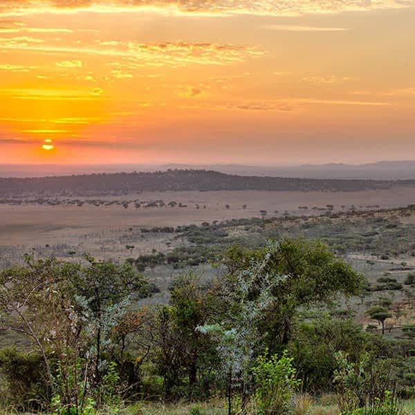 Landscape of the Western Corridor in Serengeti National Park