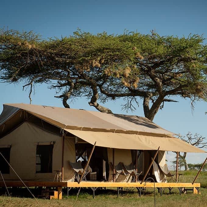 Luxury safari experience at Siringit Serengeti Camp in Tanzania
