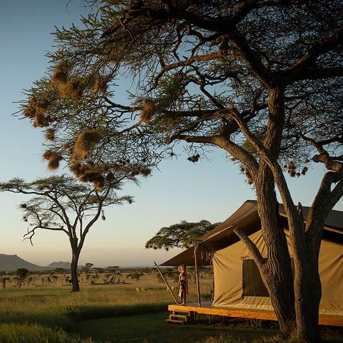 Siringit Serengeti Camp offers you the ultimate safari experience in Tanzania