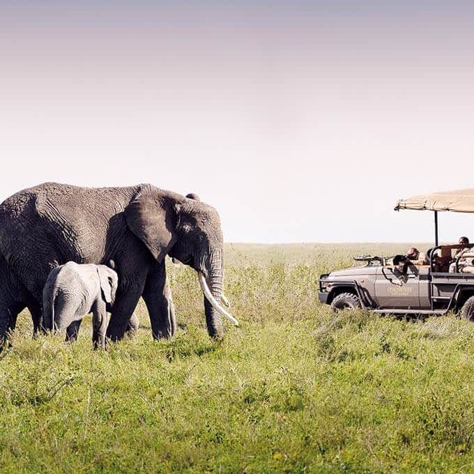 One Nature Nyaruswiga offers the ultimate safari experience in the Serengeti