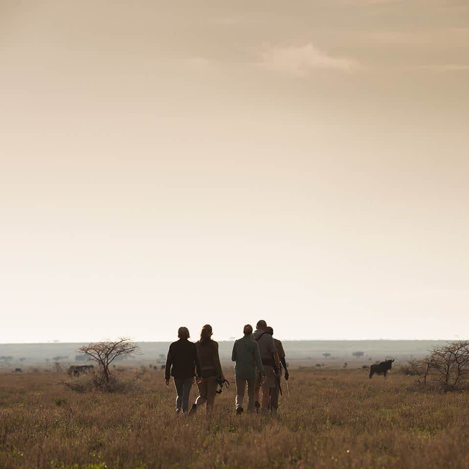 Walking safari in Serengeti - southeastern plains and Ndutu