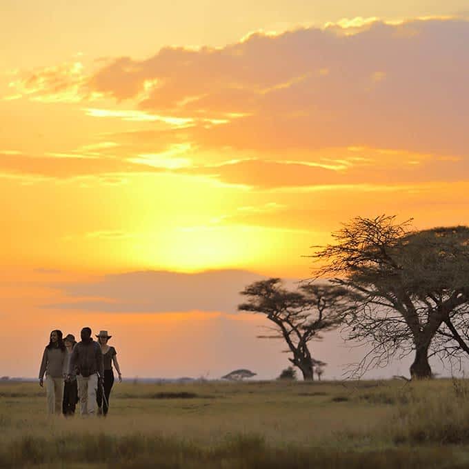 Bush walk in Serengeti