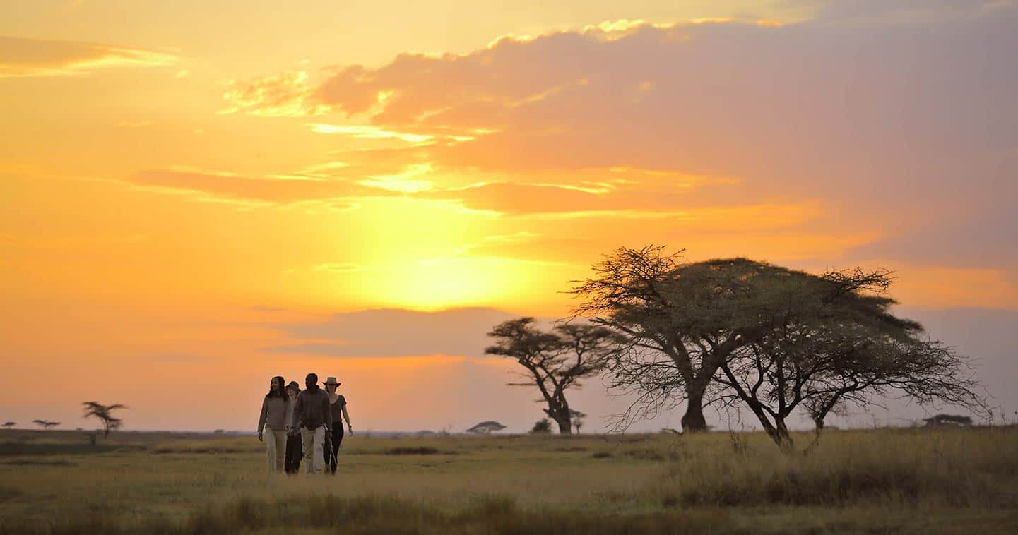 Serengeti National Park travel information - Tanzania