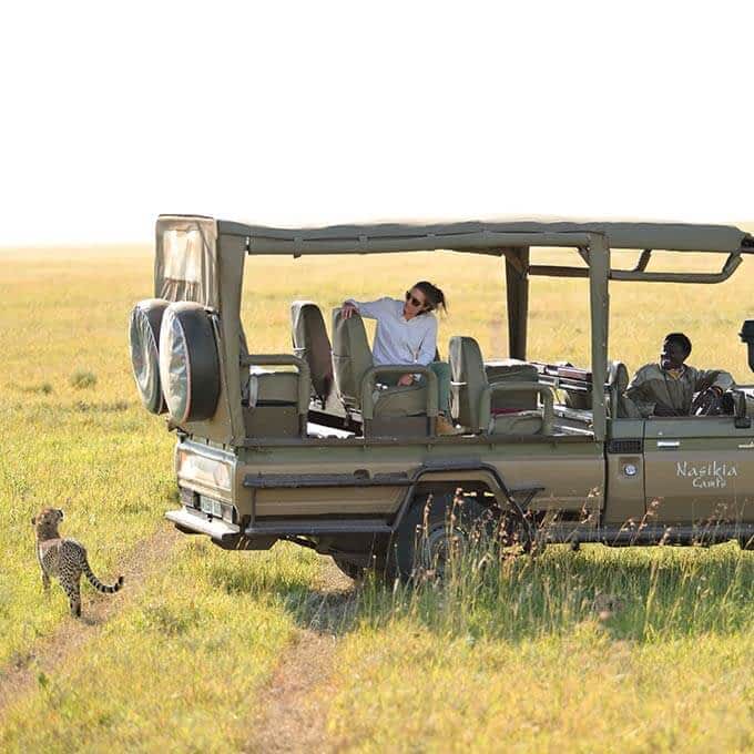 Spot cheetah in the Serengeti in Tanzania during your stay Entara Olmara Camp