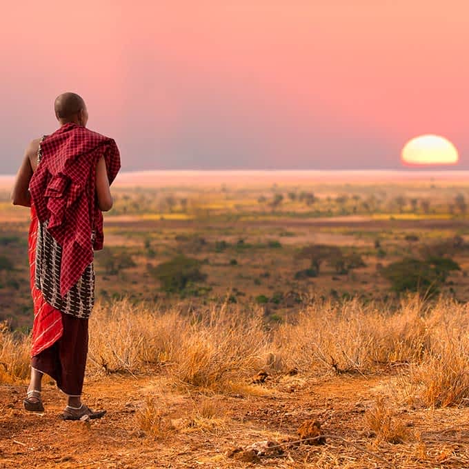 A maasai in the Serengeti - essential to local conservation