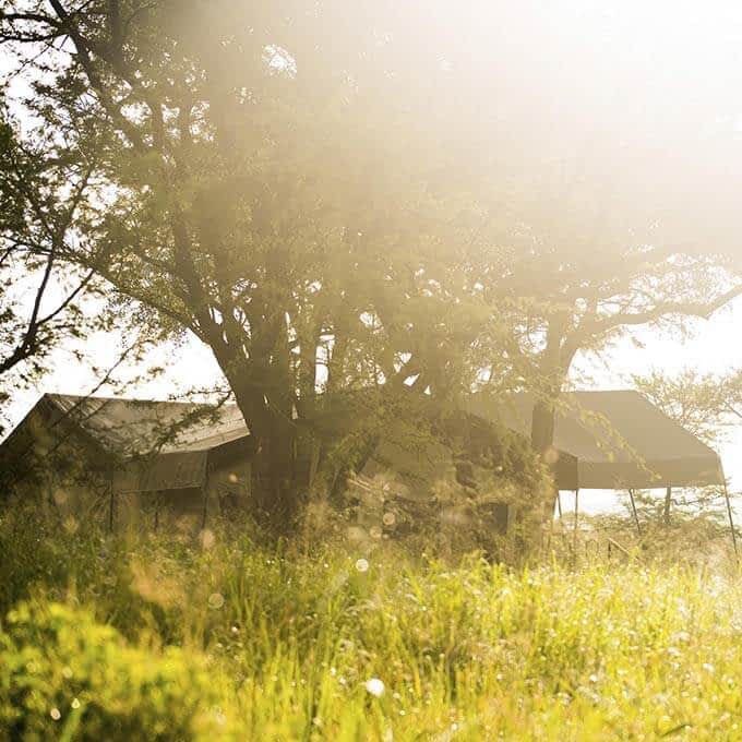 Dunia Camp offer luxury safari tents in the Serengeti in Tanzania