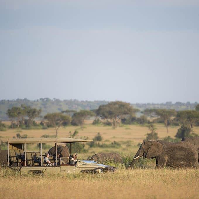 For an exclusive Serengeti safari experience stay at Singita Sasakwa Lodge