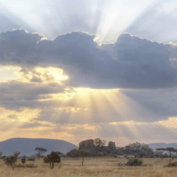 When to visit Serengeti