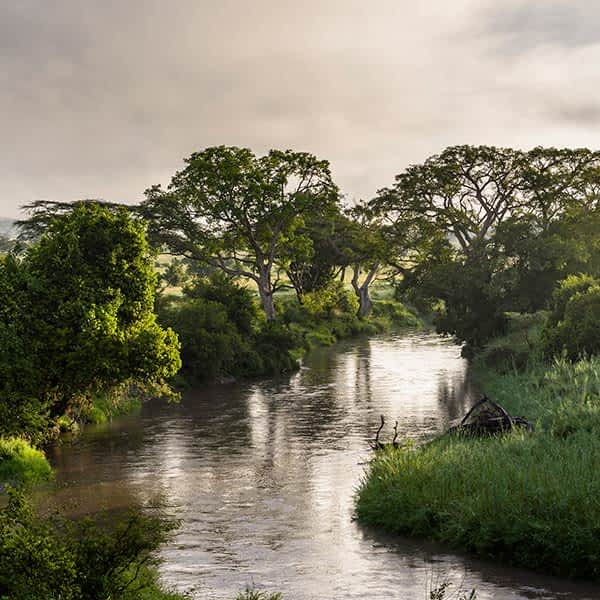 Grumeti Game Reserve information