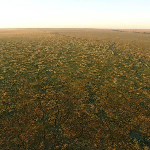 Read more about landscape and vegetation in Serengeti