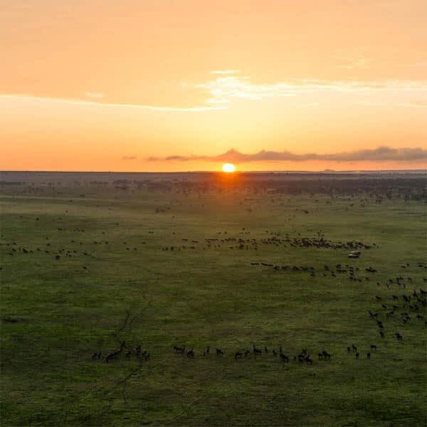 Southern plains and Ndutu safari area