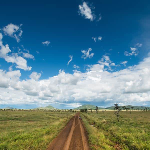 Read more about Serengeti weather and climate