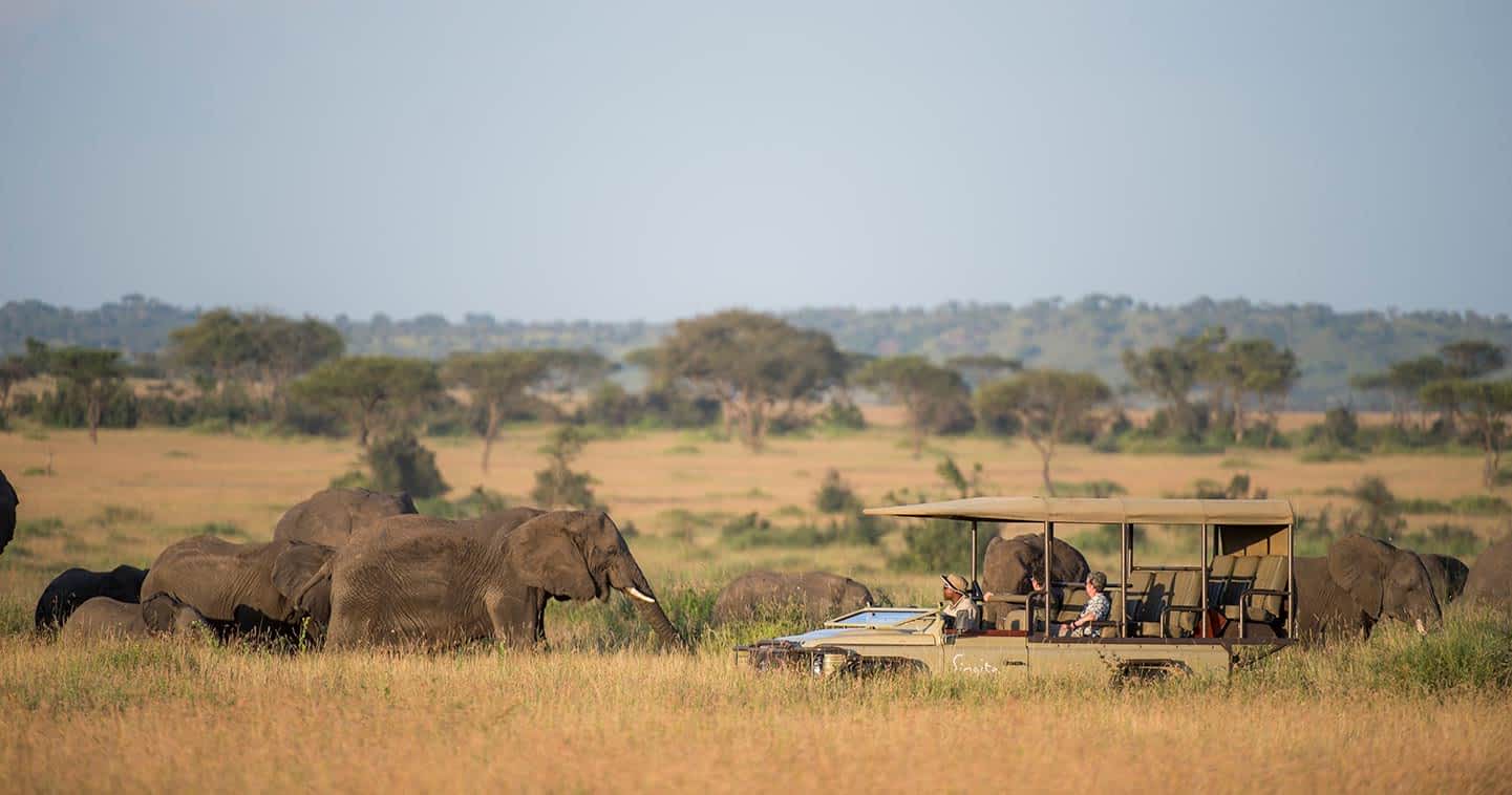 Conserving Tanzania: A luxury venture into the Serengeti