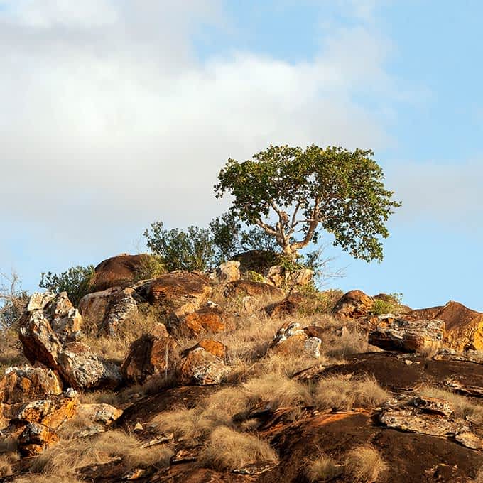 Geology Serengeti - koppies