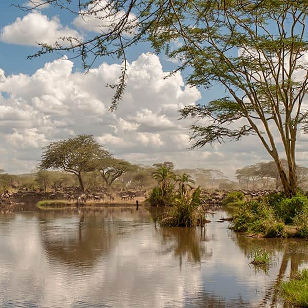 The Mara River in the north of Serengeti National Park