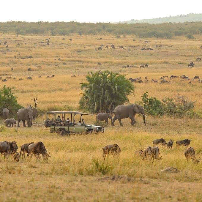Olakira Migration Camp follows the Great Migration in Serengeti National Park in Tanzania
