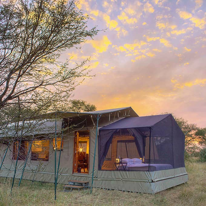 Olakira Migration Camp is a luxury mobile safari camp in the Serengeti
