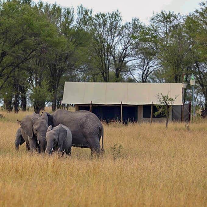 Olakira Migration Camp