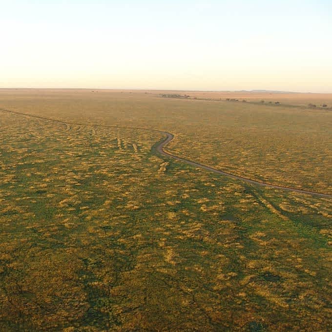 The Serengeti conservation area in Africa