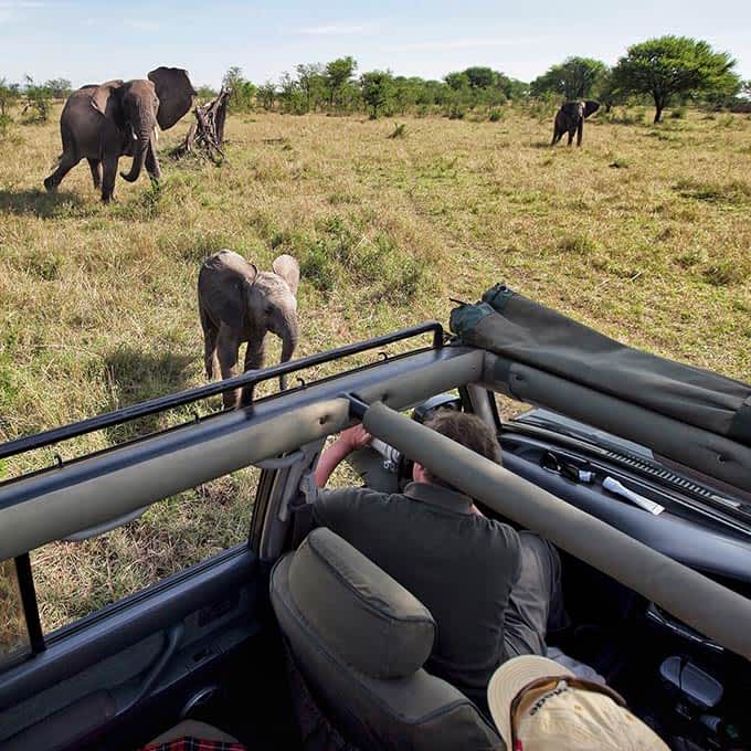 Safari game drive in Serengeti, Tanzania