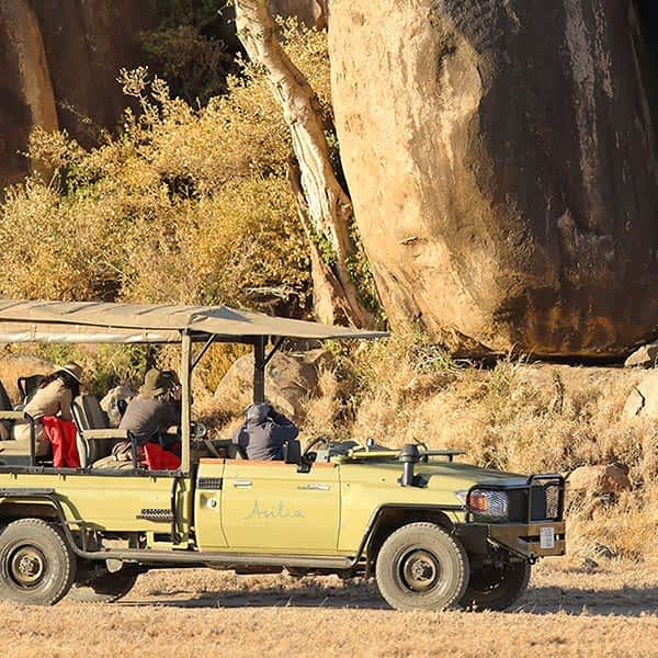 Safari game drive in the Seronera safari area in Serengeti