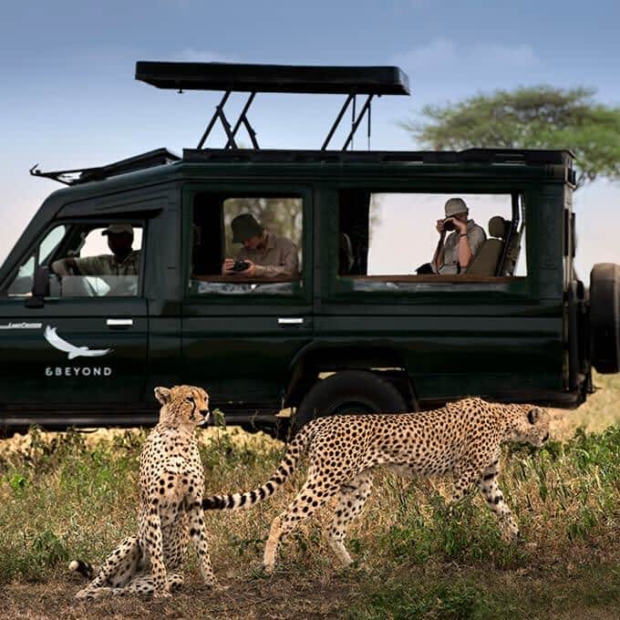 Let andBeyond Serengeti Under Canvas take you on a Serengeti game drive safari in Tanzania