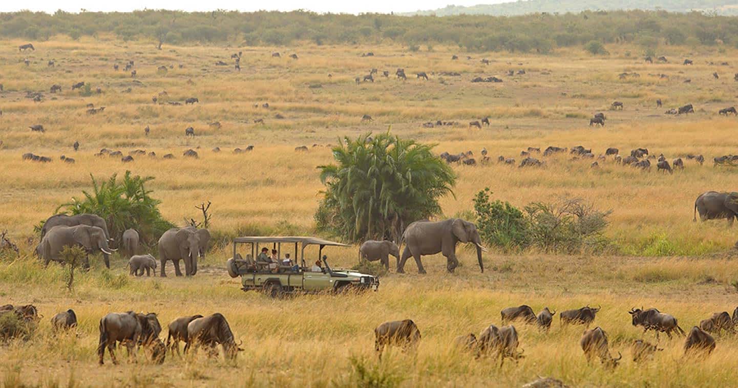 Serengeti safari in Tanzania - Safari information for your Serengeti holiday