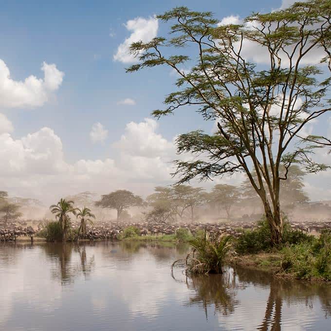 River in Serengeti