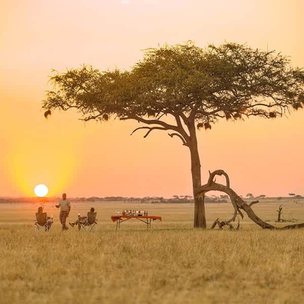 Serengeti Mara safari area