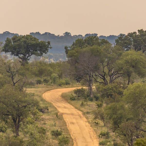 Best time to visit Serengeti National Park