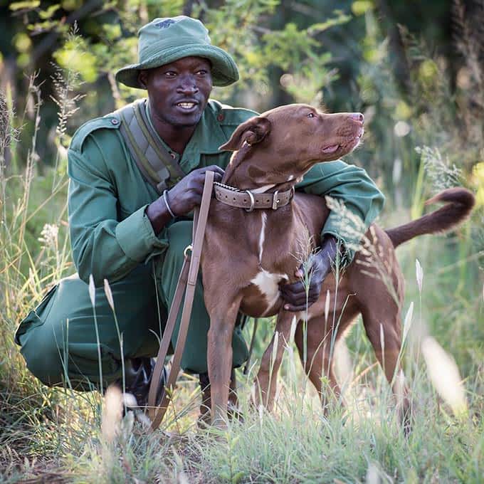 Serengeti National Park in Tanzania conservation