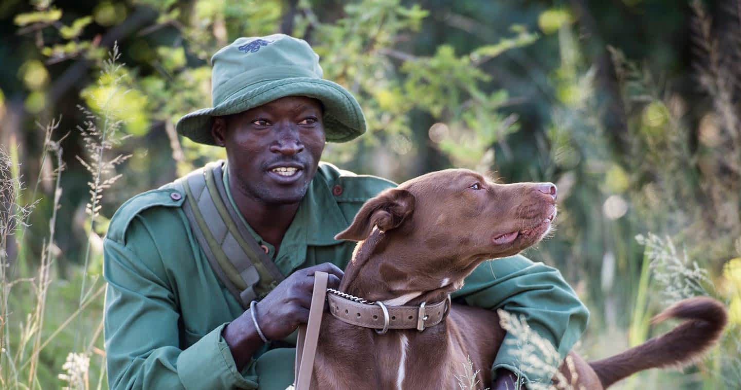 Conserving Tanzania: A luxury venture into the Serengeti