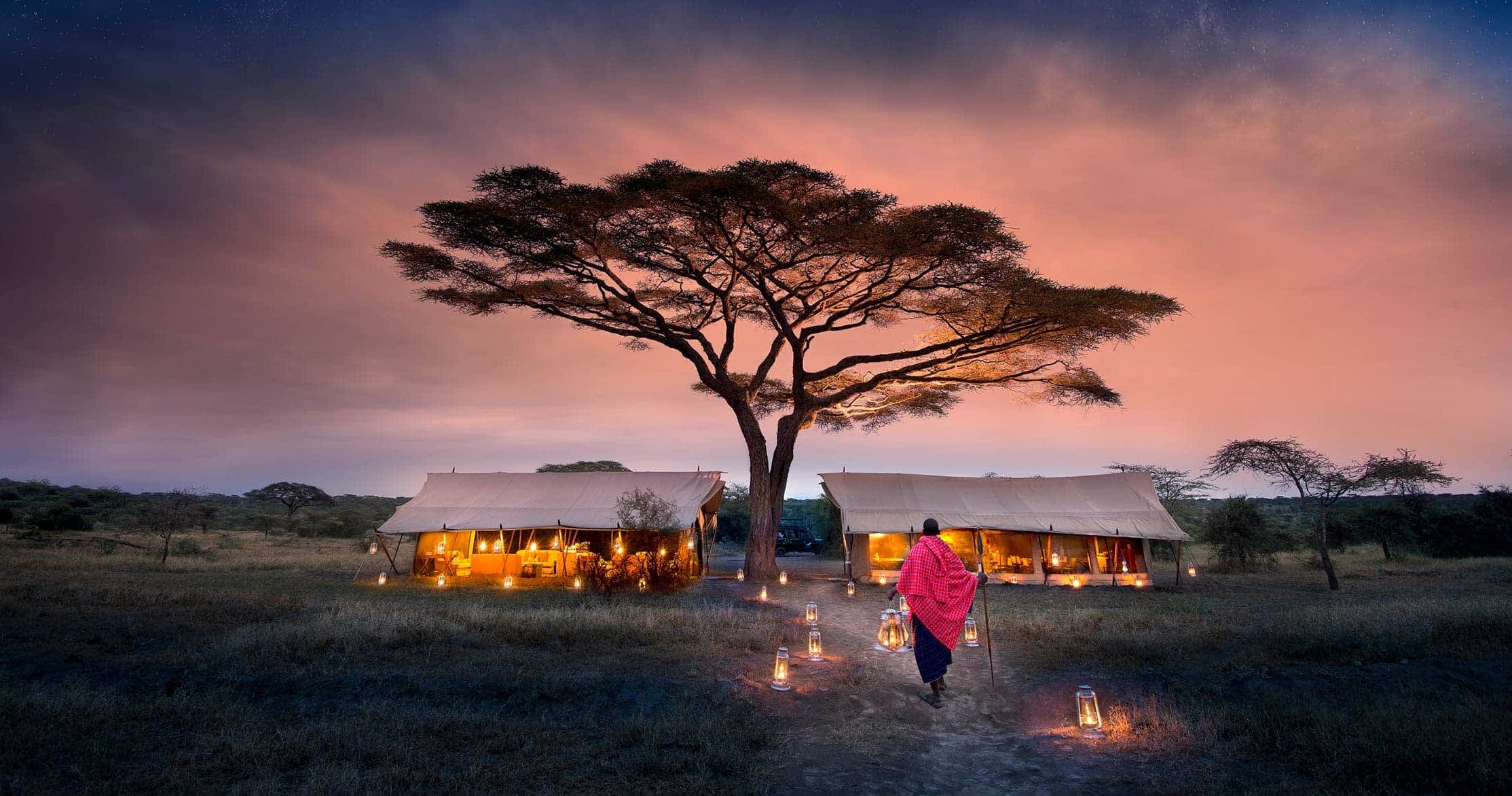 safari in serengeti national park