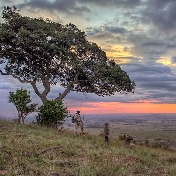 Northern Serengeti and Lobo safari area landscape