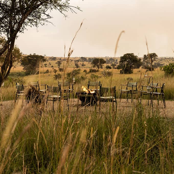 Singita Mara River Tented Camp offers you the ultimate safari experience in the Serengeti