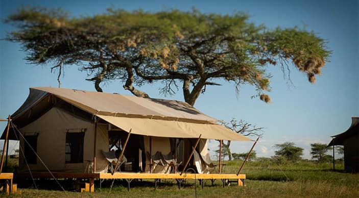 Special offer for Siringit Serengeti Camp - Pay 2 stay 3