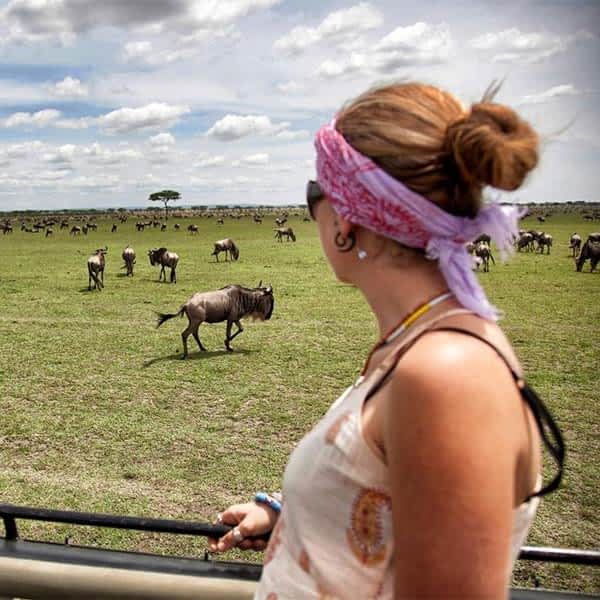 Southeastern Serengeti Plains and Ndutu information