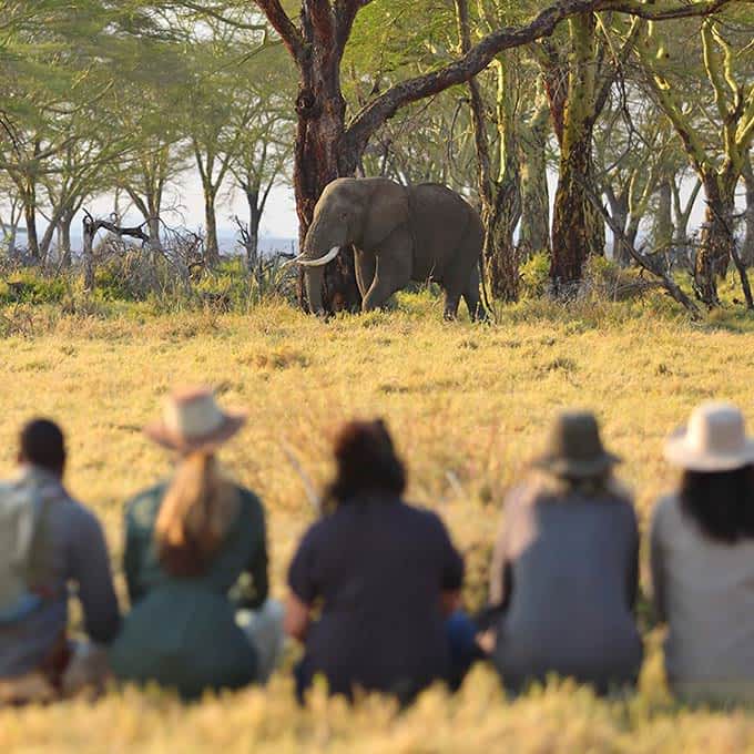 Serengeti National Park conservation