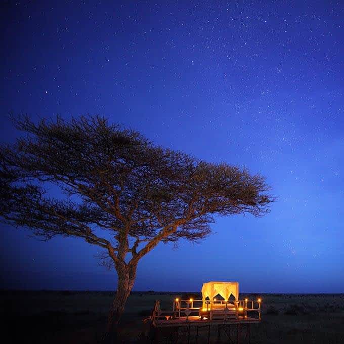 Sleep in a treehouse in Serengeti National Park in Tanzania during your stay at Entara Olmara Camp