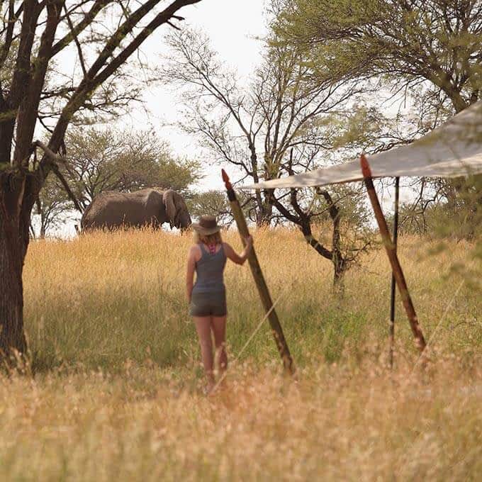 For the ultimate Serengeti safari experience stay at Olakira Migration Camp
